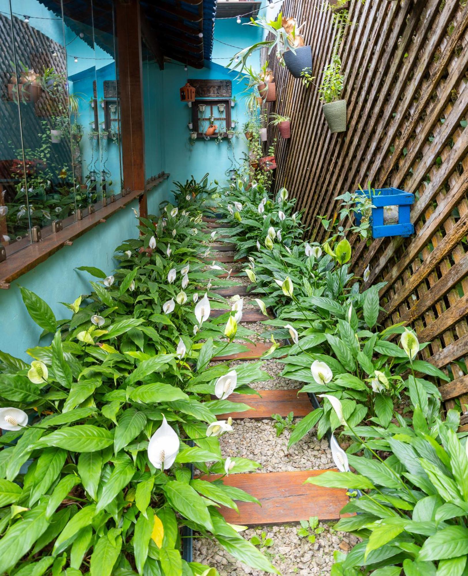 Pousada Telhado Azul Ilha Grande Exterior foto